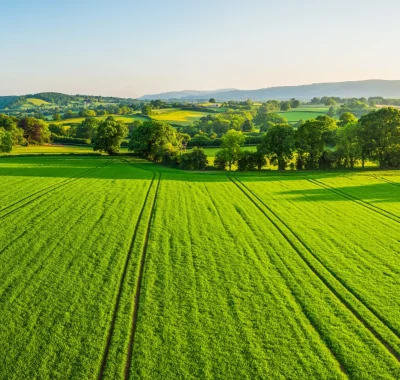 farming_field-Copy